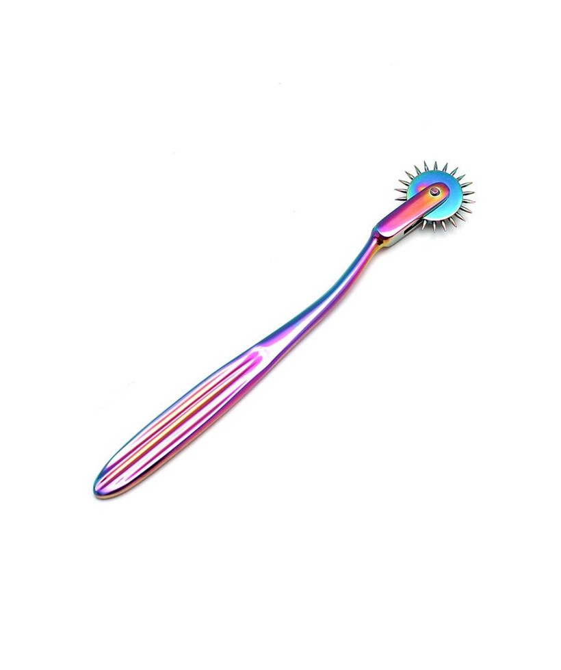 Rueda de Dolor Multicolor 1 Rueda de Dolor Multicolor 1